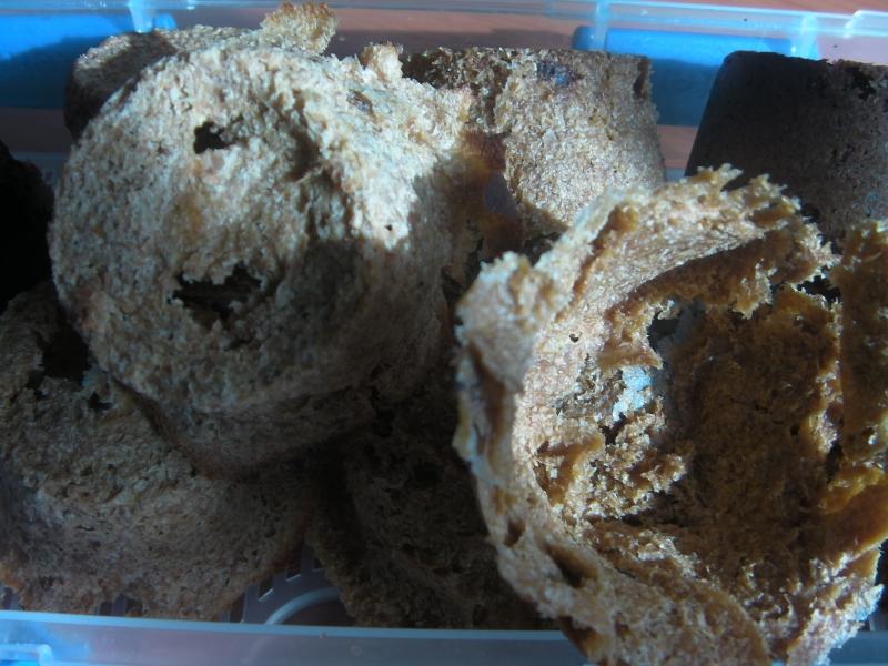 cricket cakes cricket cakes